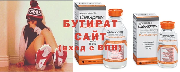 прущие грибы Аркадак