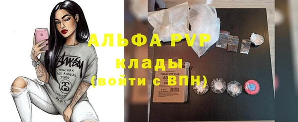 прущие грибы Аркадак