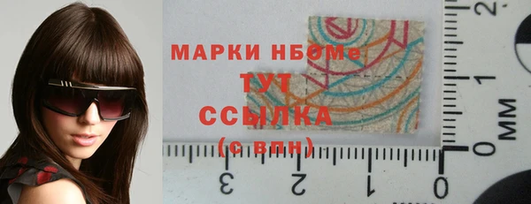 прущие грибы Аркадак