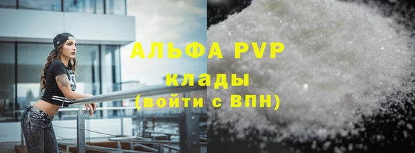 ПСИЛОЦИБИНОВЫЕ ГРИБЫ Гусиноозёрск