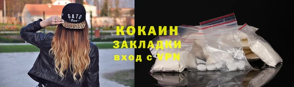 прущие грибы Аркадак