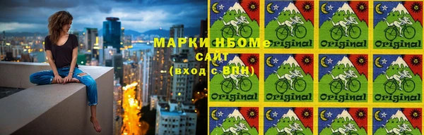 прущие грибы Аркадак