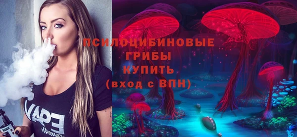 МДПВ Армянск