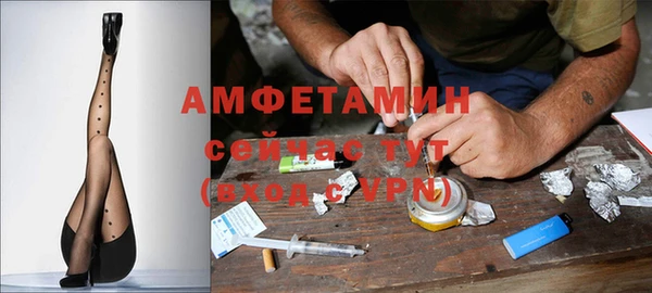 прущие грибы Аркадак