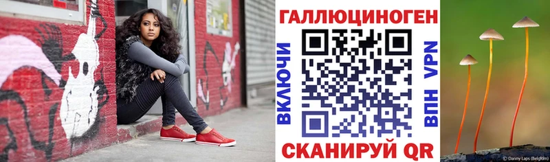 ОМГ ОМГ ССЫЛКА Петровск-Забайкальский Псилоцибиновые грибы мицелий
