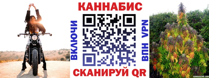 Шишки марихуана сатива Петровск-Забайкальский